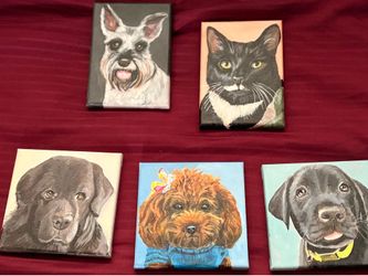 Dog and cats portraits