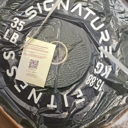 Pair Of 35lb Bumper Plates