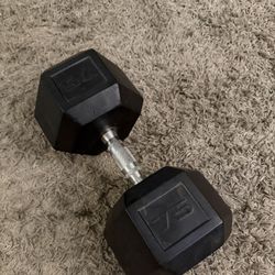 75 lb HEX dumbbell
