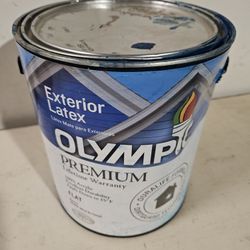 Exterior Blue Flat Paint