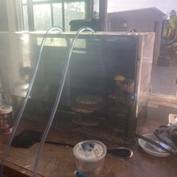 30 Gallon Tank With Filter