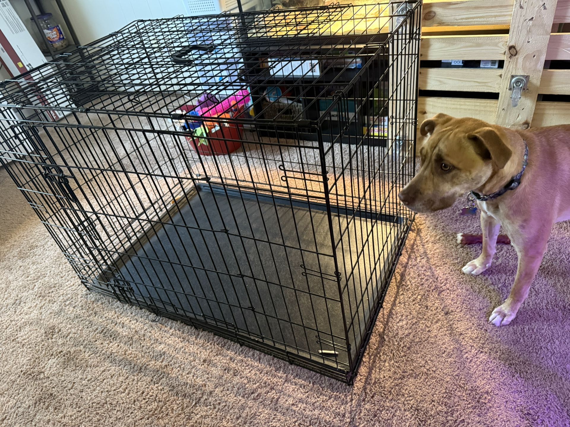 XL Metal Dog Crate
