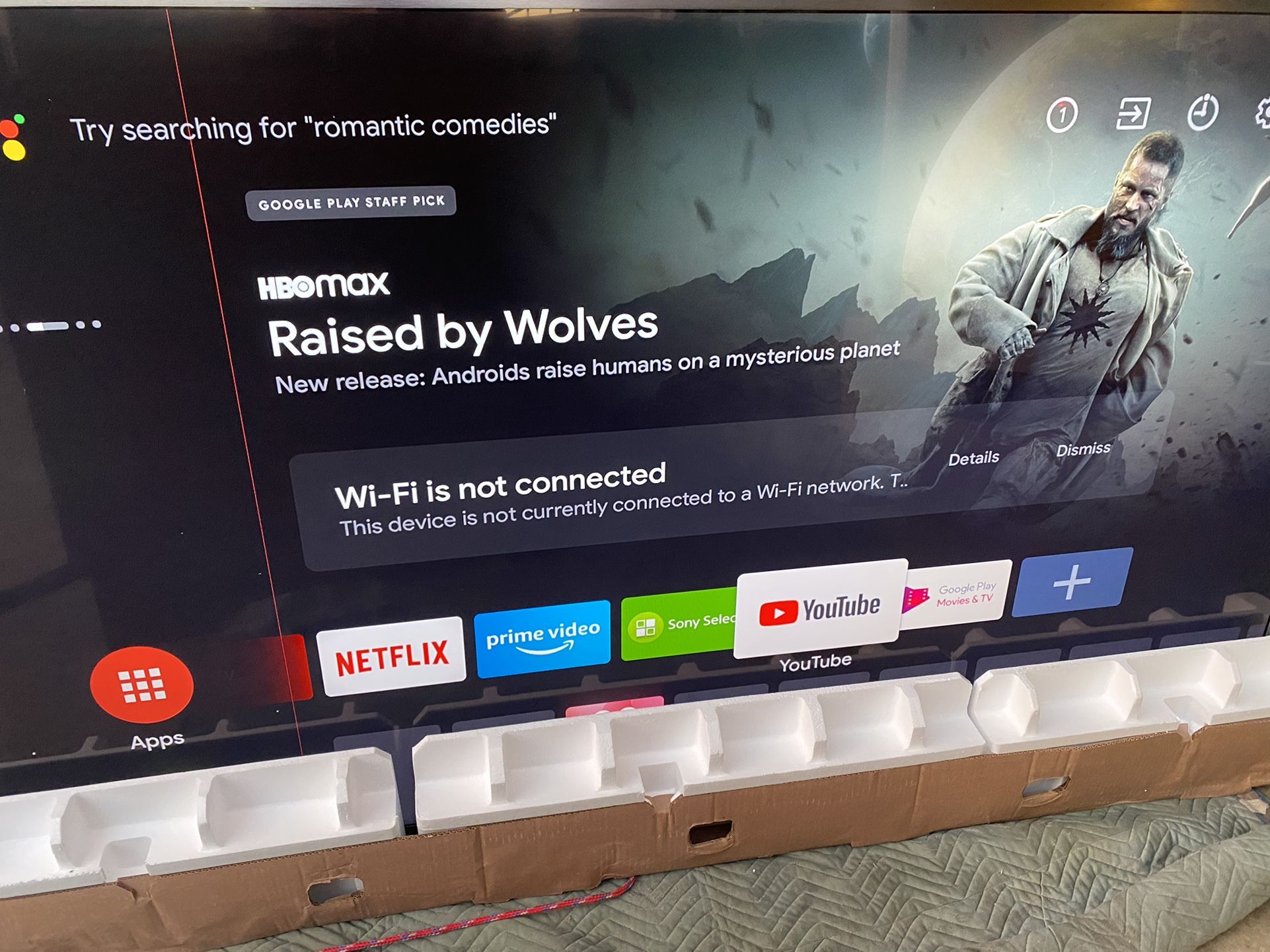 85” 4K UHD Bravia TV