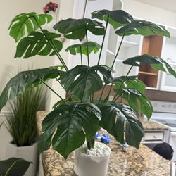 Pretty Artificial Plant Monstera Tree  With Pot! New ( Ask For The Price) 