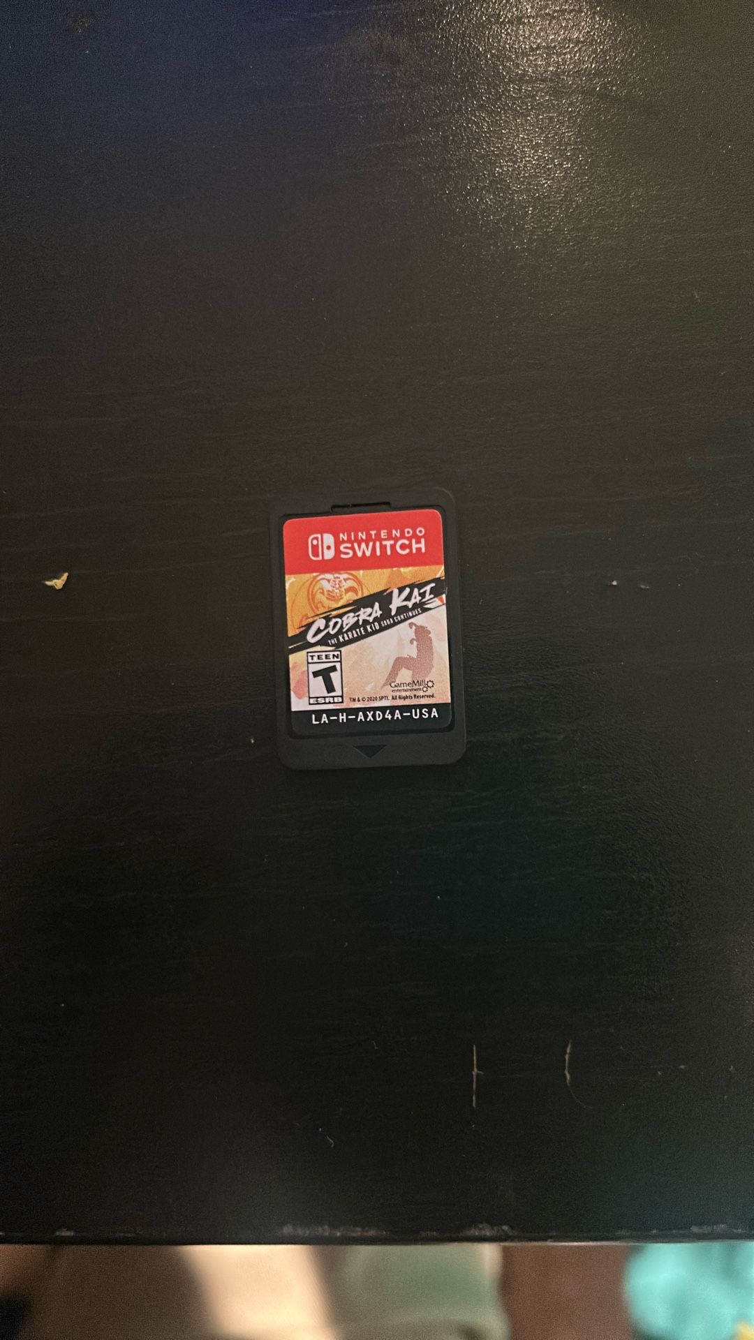 Cobra Kai Video Game