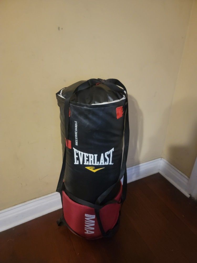 Knee Strike Everlast Omnistrike Everlast MMA Omnistrike Punching