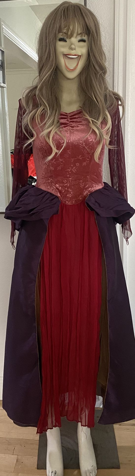 Costume/Hocus-Pocus/Halloween Costume/Sanderson Sisters