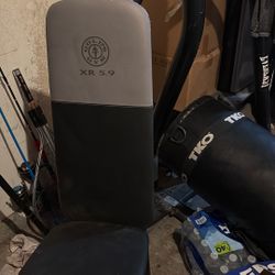 Gold Gym Weight Bench
