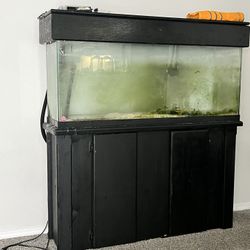 55 Gallon Tank 