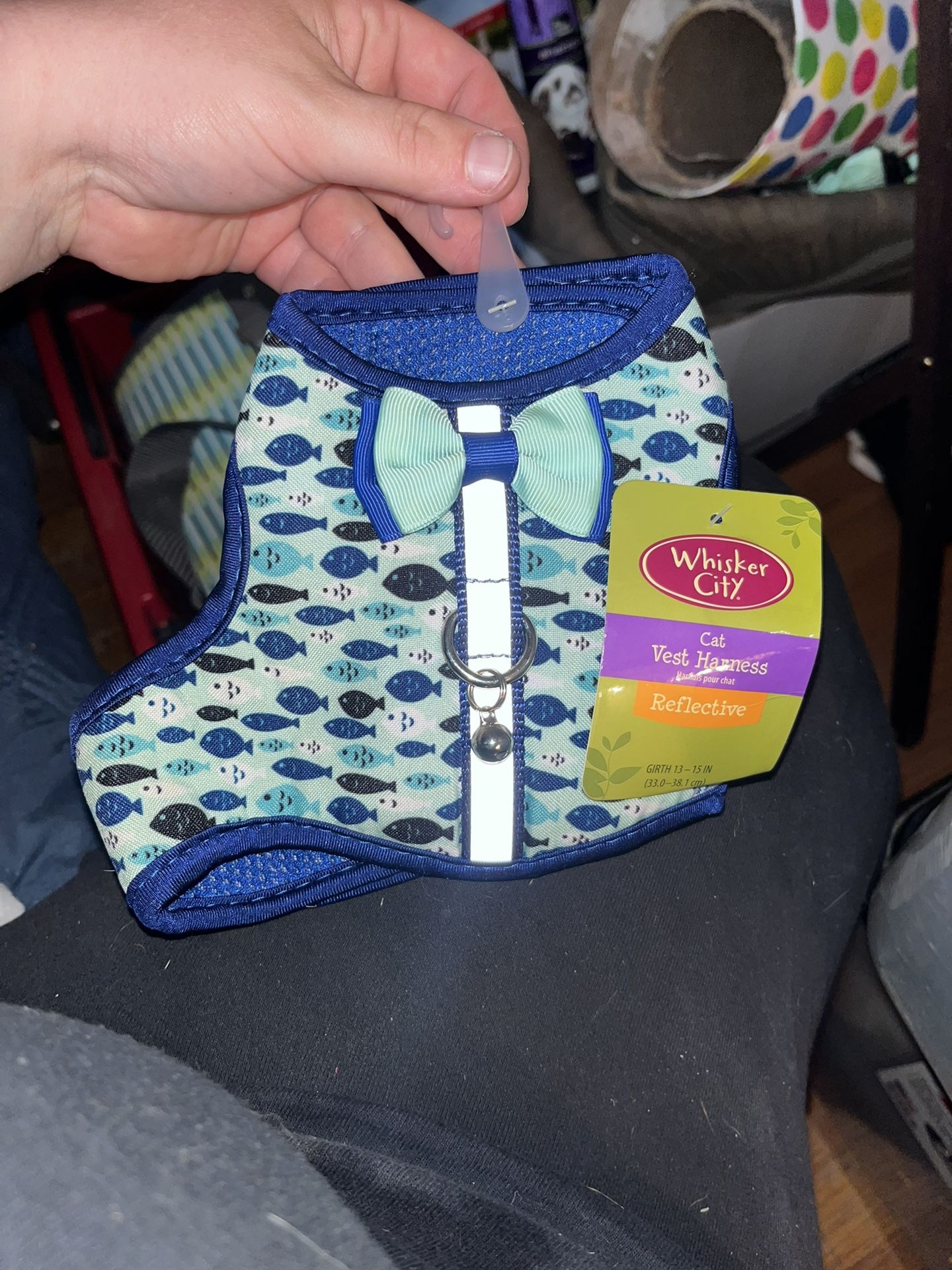 cat harness