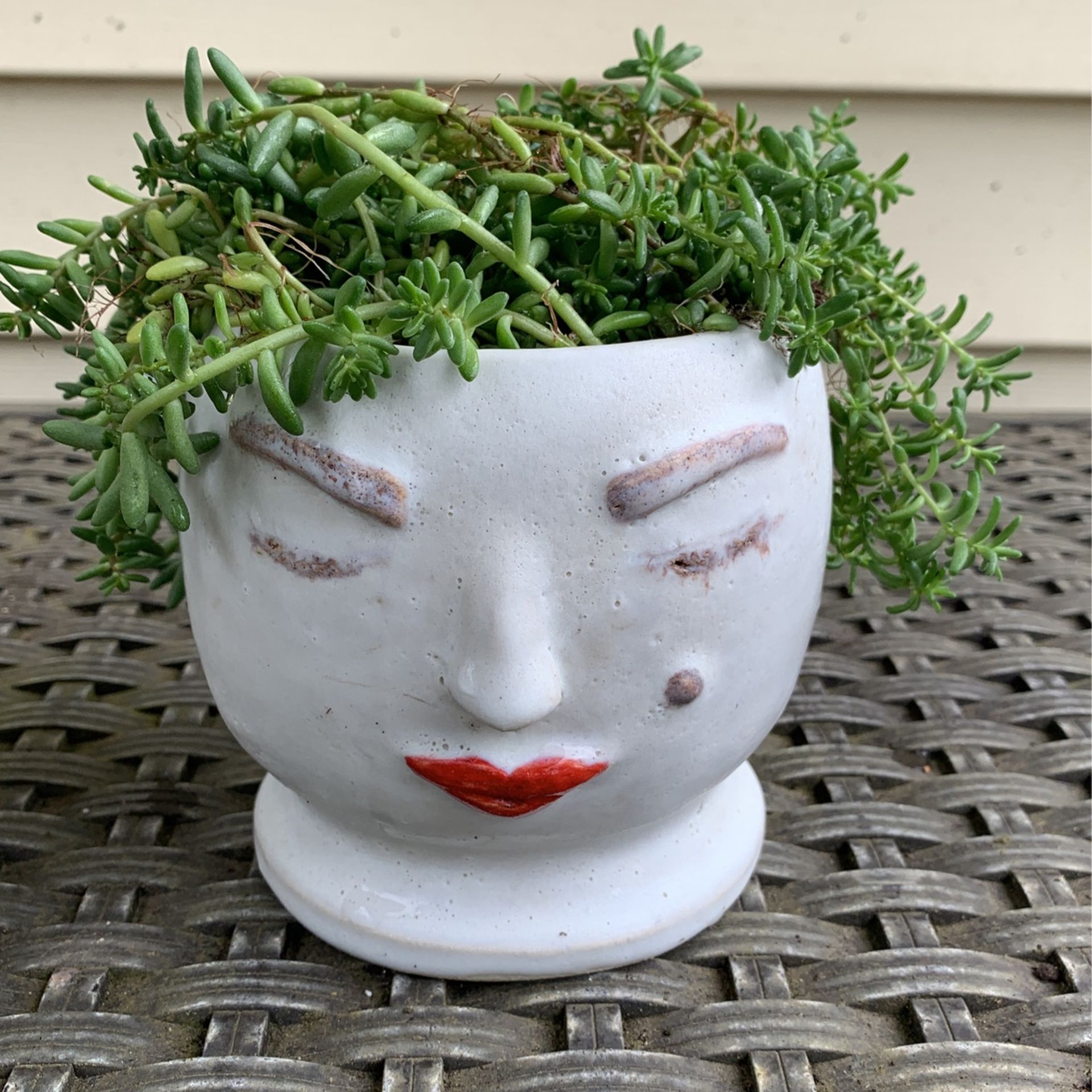 Unique handmade 3-D face planter pot with Succulents