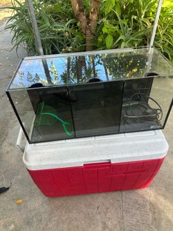 Aqua One Beta Fish Tank