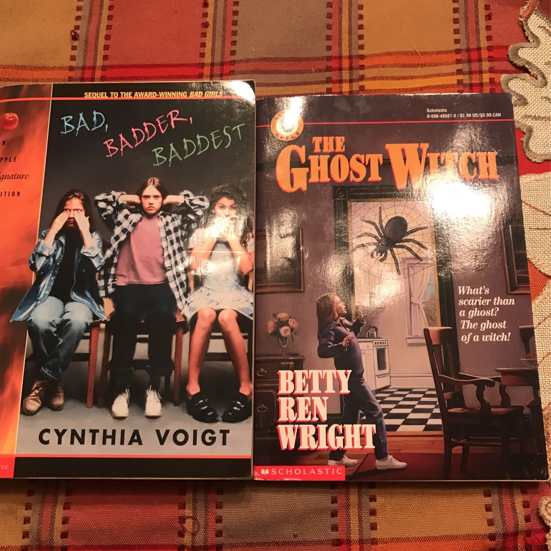 5th & 6th Grade Reading Book Scholastic And Harper Trophy