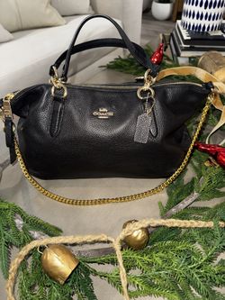 Designer Bag $100 OBO
