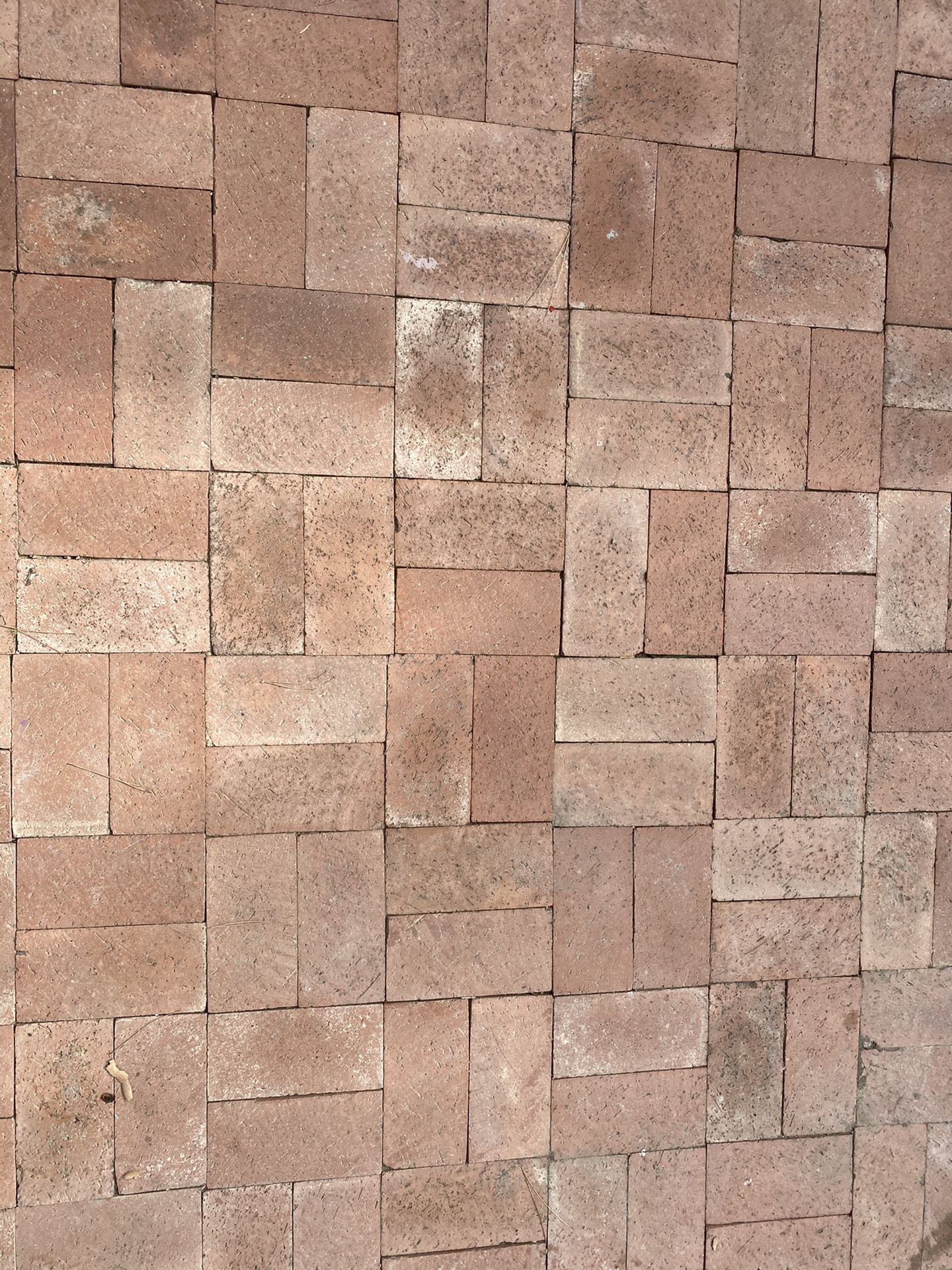 Red clay pavers
