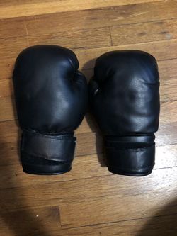 Boxing Gloves (14 oz)