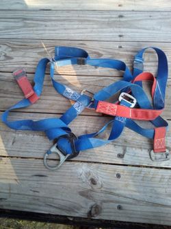 2 safety harness