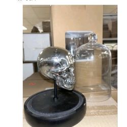 New retail surplus skulls under glass.