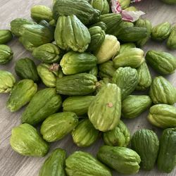 Chayotes Organic $1 Each