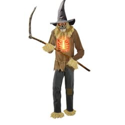 Halloween Outdoor Decor 