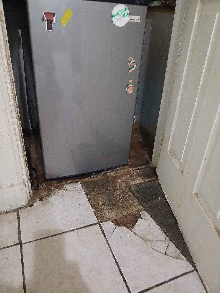 Mini Fridge