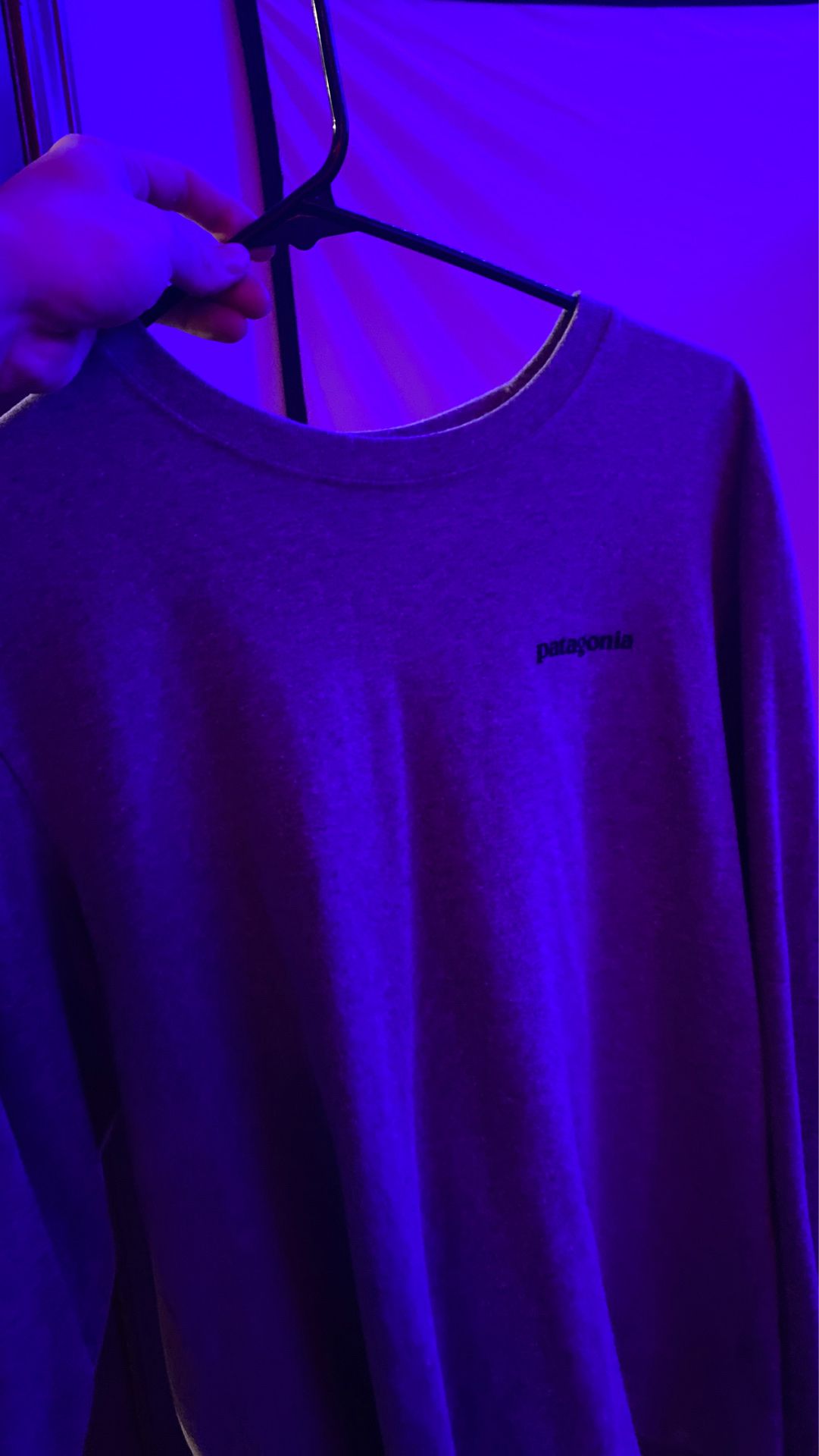 Patagonia Grey Longsleeve