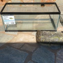 20 Gallon  And 10 Gallon Glass Tank