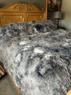 Grey coma induser comforter and two shame