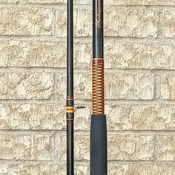 Ugly Stik Surf Rod for Sale in Victoria, TX - OfferUp
