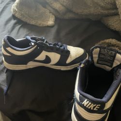 Nike dunks 
