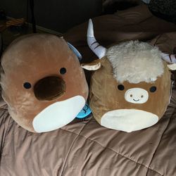 Squishmallow 
