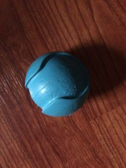 Small blue rubber squeaky ball