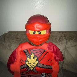 Ninjago Costume 