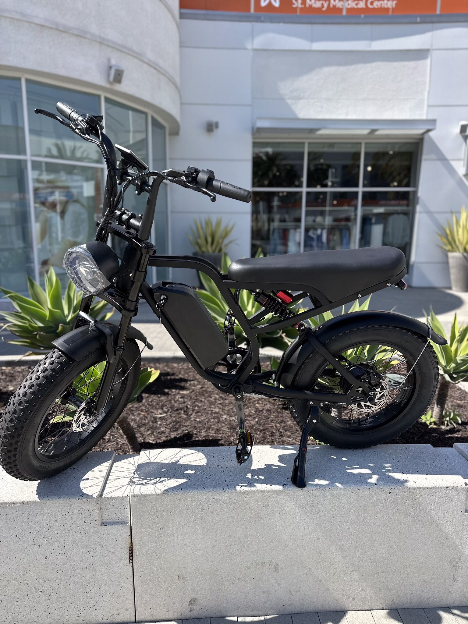 Electric Bike