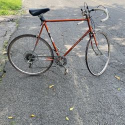 De Luxe Bicycle  Rex By Araya 