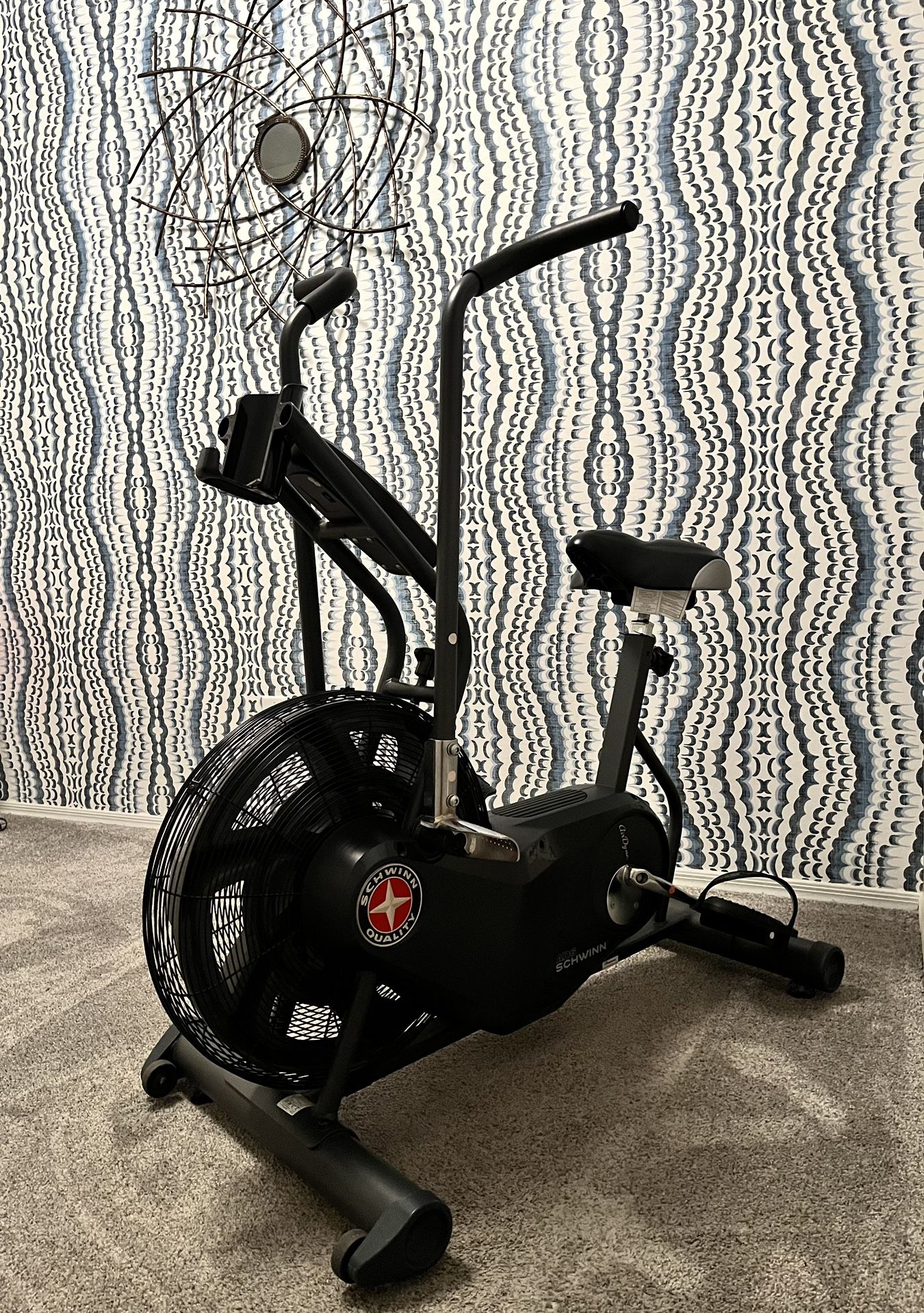 Schwinn, Airdyne AD6 Exercise Bike