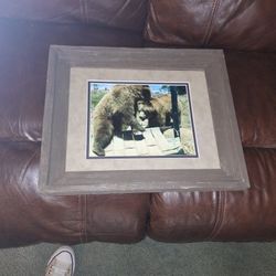  Grisly bears wrestling. 