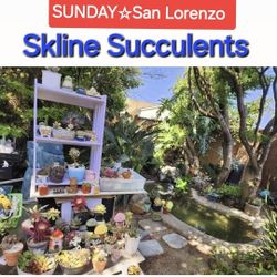 HUGE PLANT SALE ON SUNDAY IN SAN LORENZO. DM FOR  ADDRESS PLEASE