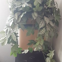 Artificial Pothos Plant