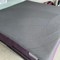 Purple Restore Premier Soft King Mattress ❤️