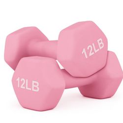Two 12lb Dumbbells 24lb 