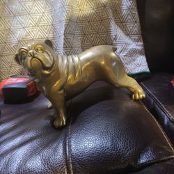 Brass Bulldog
