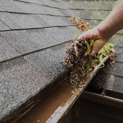 Gutter Cleaning 