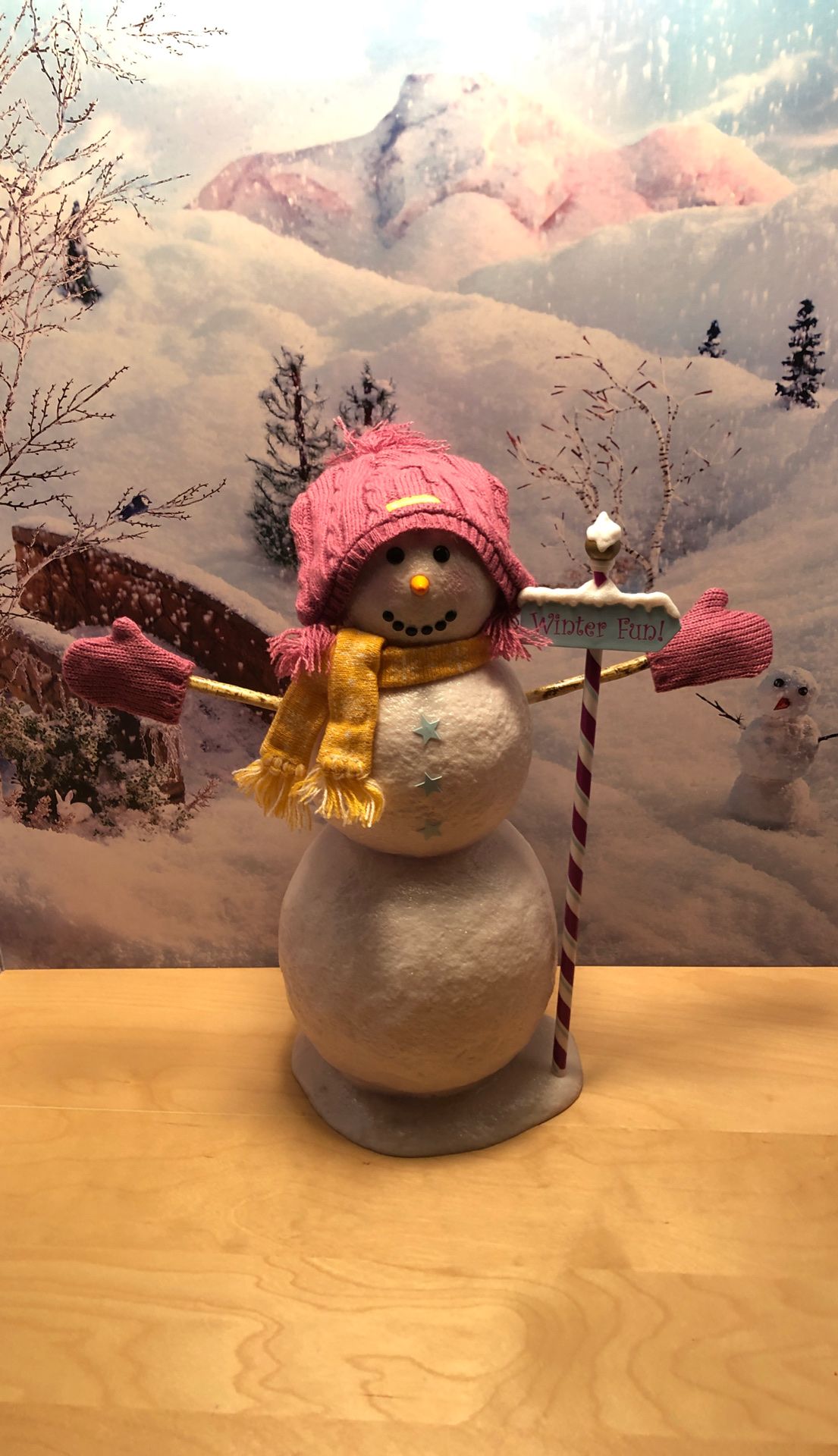 American Girl Snow Much Fun Set