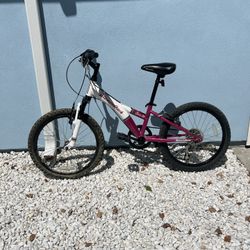 Diamondback Tess 2.0 Bike