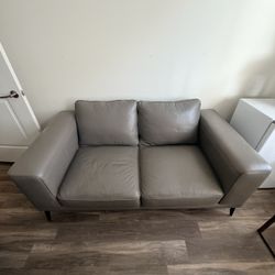 Brown leather Couch