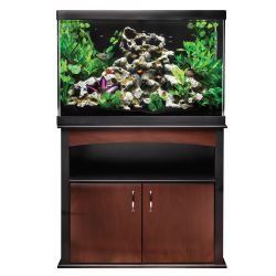 AWESOME FISH TANK COMBO! AMAZING CONDITION!ONLY ASKING $300 For This $1000 SETUP!!! 