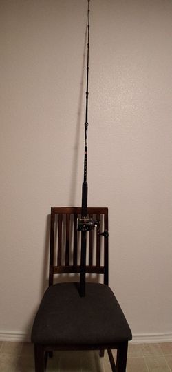 Penn Rival fishing combo