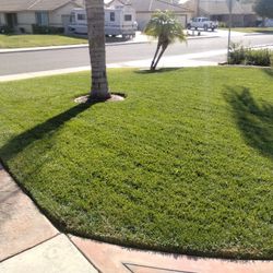 Lawn $ervice $