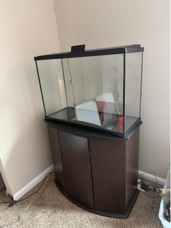 29 gallon aquarium with stand and led lid